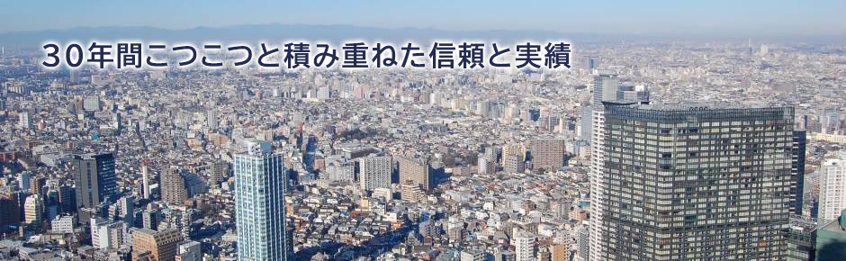 東京上空の写真